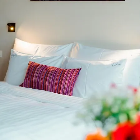 Affittacamere The House Of Edward By Domani