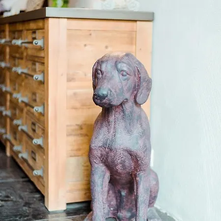 The House Of Edward By Domani 4* Gent