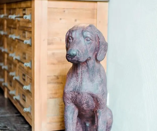 The House Of Edward By Domani 4* Гент